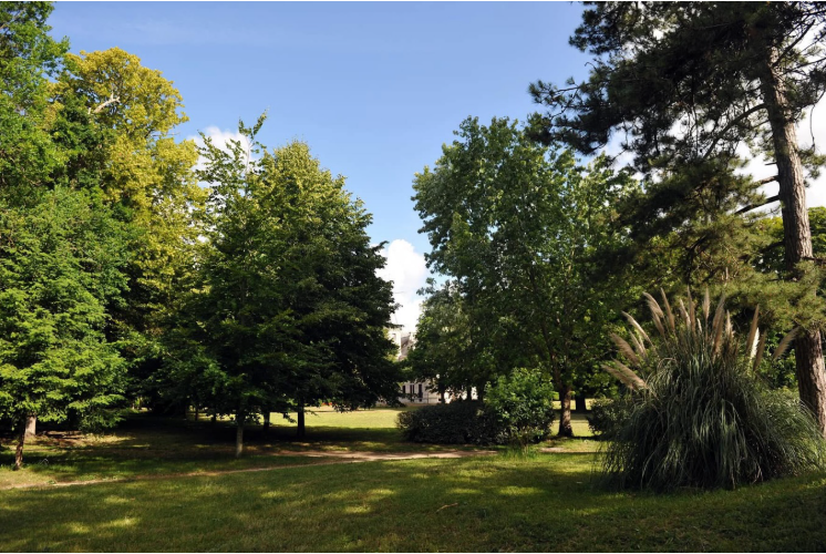 Le bois de la Faucherie